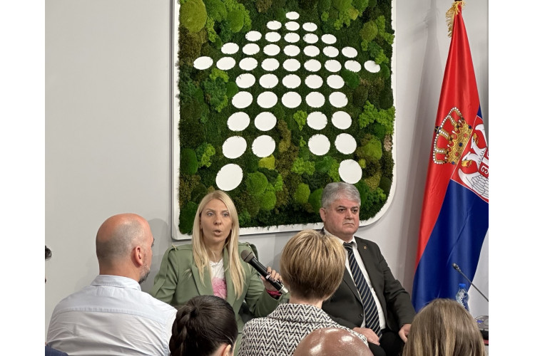 For better border procedures, digitalization and strengthening inspections are crucial