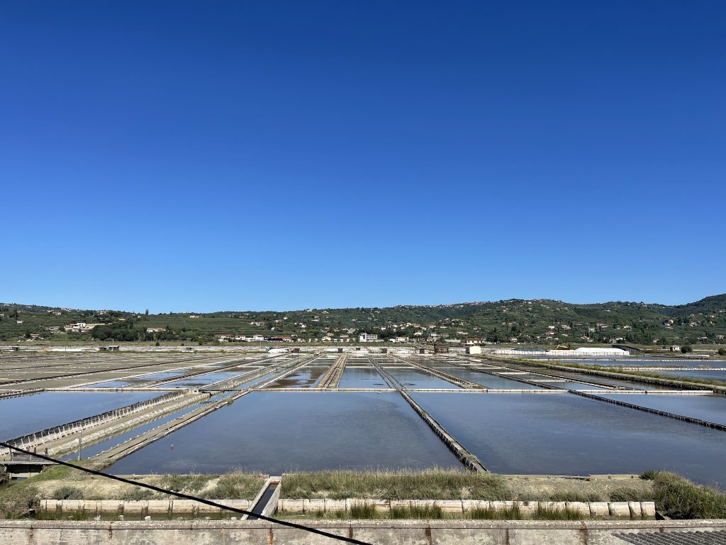 Jačanje plave ekonomije u srcu Jadrana